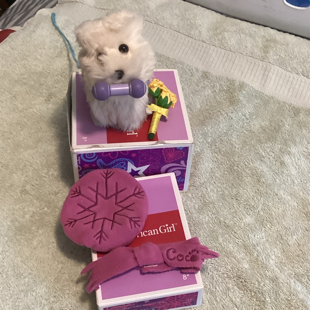 American Girl Coconut Puppy with Rink-side Accessories - Picture 4 of 5